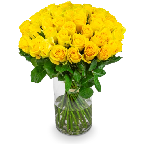 Bouquet of yellow roses